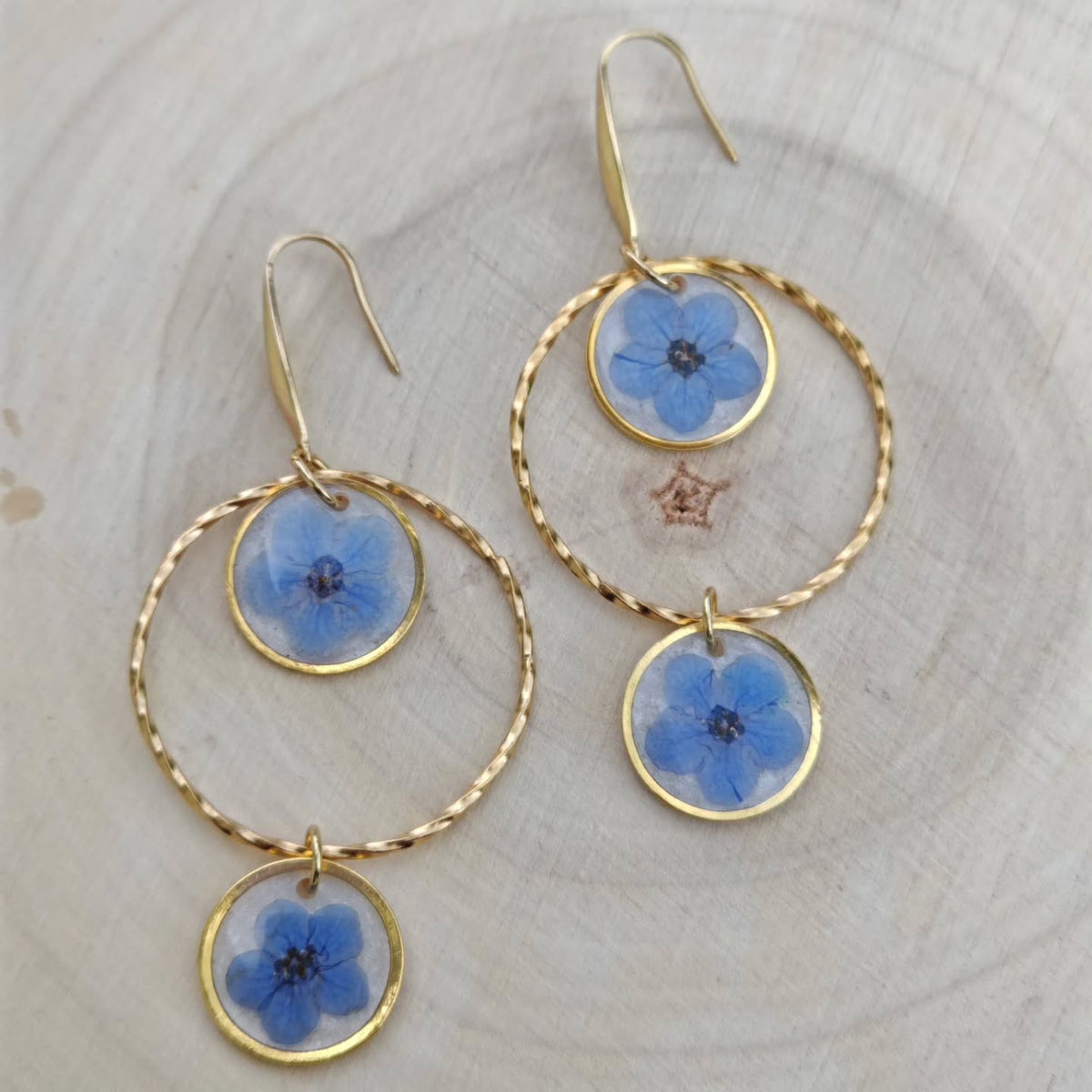 Myosotis dans leur cercle torsadé