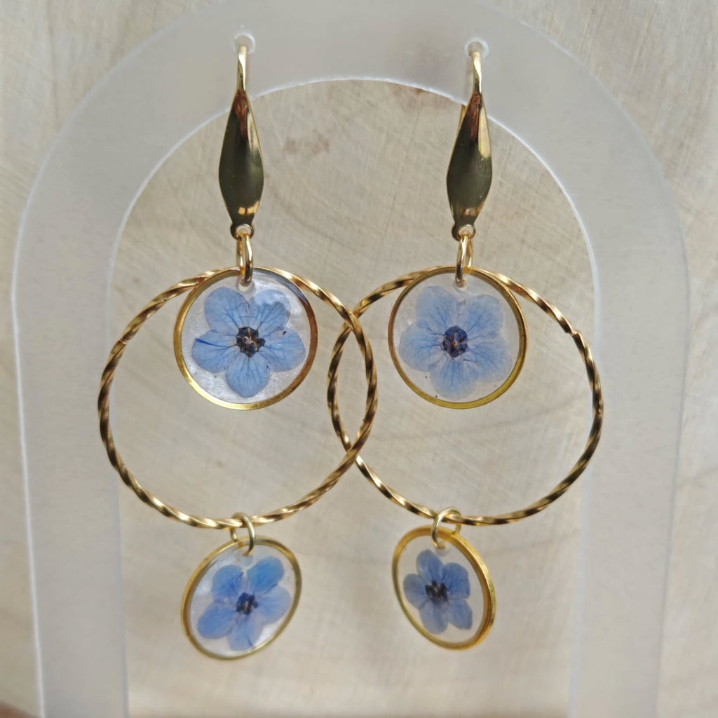 Myosotis dans leur cercle torsadé